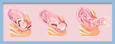 Φυσιολογικός τοκετός Φυσιολογικός τοκετός